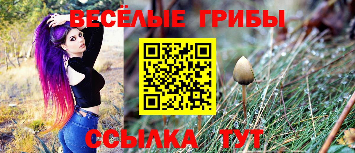 Псилоцибиновые грибы Magic Shrooms  Вход с VPN  Галлюциногенные грибы MAGIC MUSHROOMS  Ростов-на-Дону 