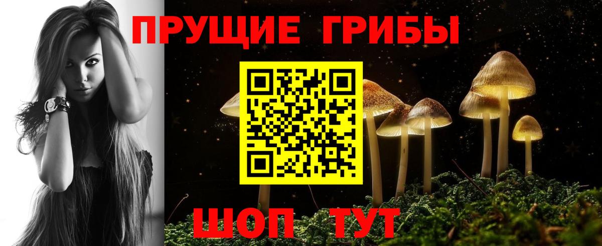 Псилоцибиновые грибы Psilocybe Ростов-на-Дону